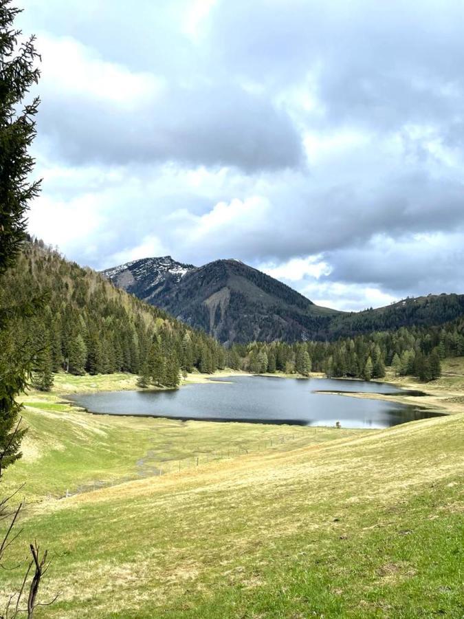 Tauglerei Appartement Malve In Den Zauberbergen Sankt Koloman Eksteriør billede